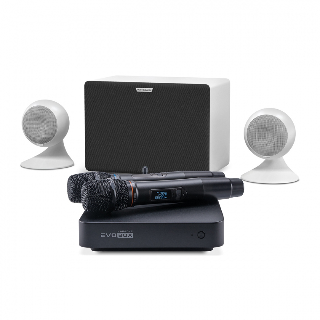 караоке-комплект EVOBOX Classic + EvoSound Sphere 2.1 в Геленджике