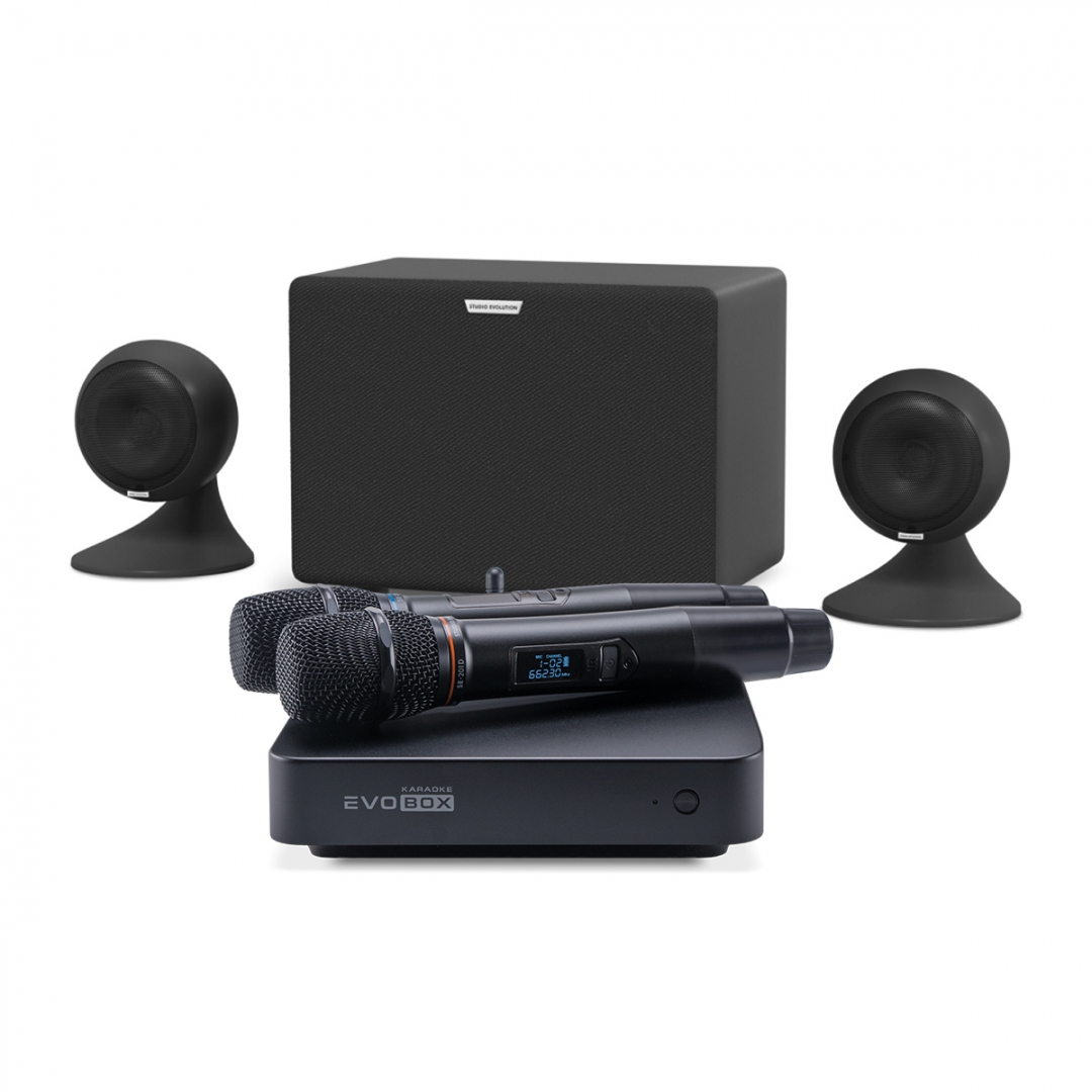 караоке-комплект EVOBOX Plus + EvoSound Sphere 2.1 в Геленджике