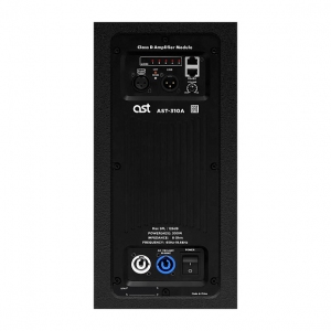 Активная акустическая система AST-310A в Геленджике