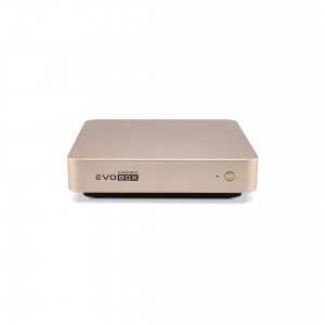 EVOBOX с микрофонами в Геленджике